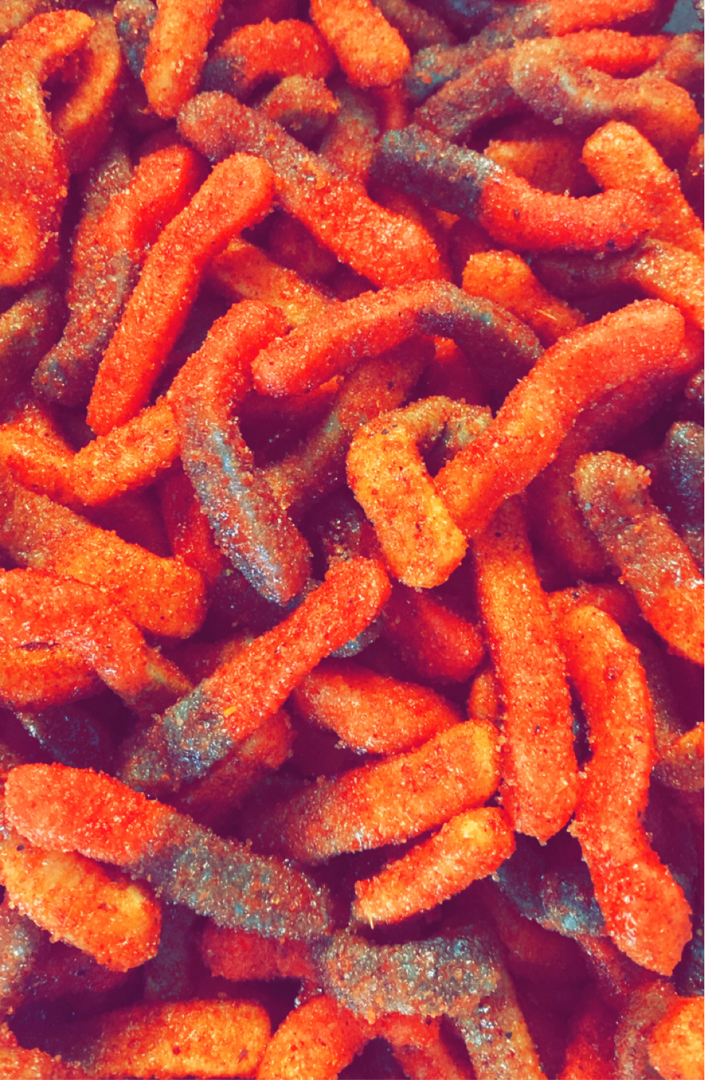 Worms